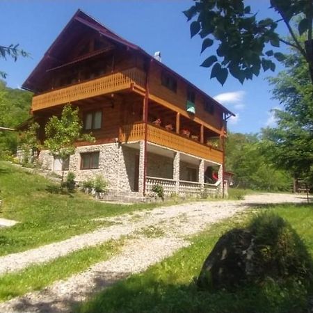 Pensiunea Simina Viseu de Jos Exterior foto