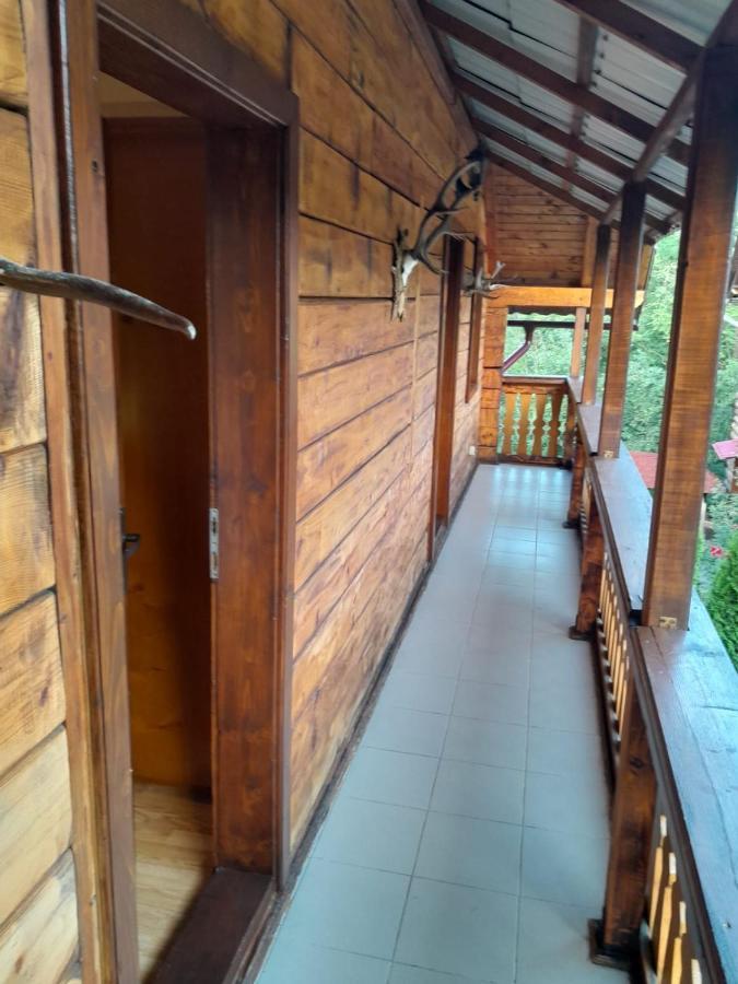 Pensiunea Simina Viseu de Jos Exterior foto