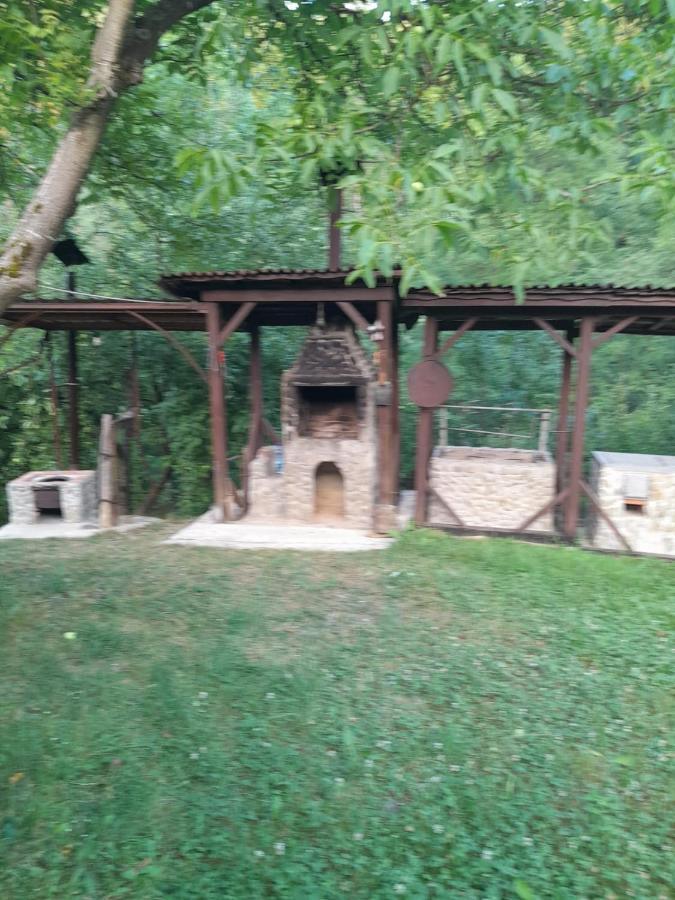 Pensiunea Simina Viseu de Jos Exterior foto
