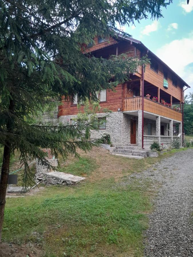 Pensiunea Simina Viseu de Jos Exterior foto